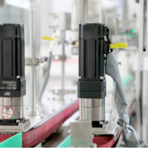 Automatische Verkleidungsmaschine mit Zwillingskopf FXG-2E 2500BPH