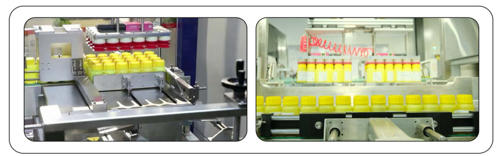 KZ-2T voll automatische Kartonverpackungsmaschine für normale runde oder quadratische Glasflaschen und Plastikflaschen
