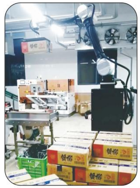 AI-RMD30 AI-Kollaborations-Palletizierungsroboter (≤9 Kartons/Min) ¢ Intelligente flexible Palletizierungslösung für verschiedene Szenarien