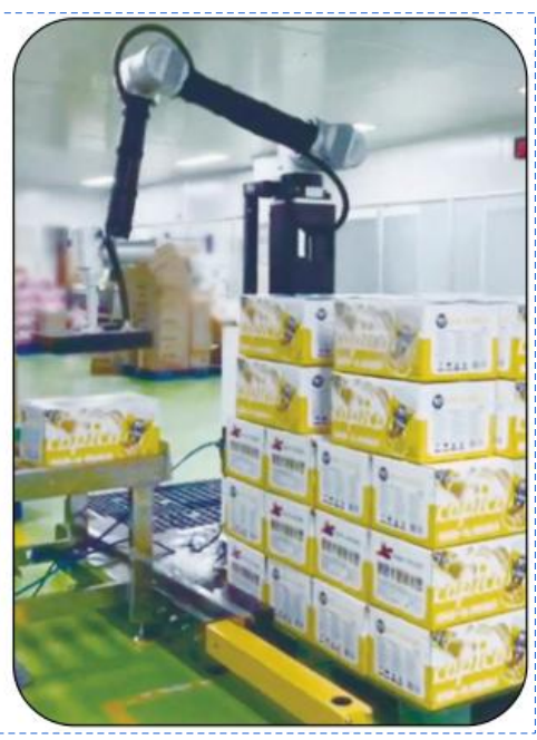 AI-RMD30 AI-Kollaborations-Palletizierungsroboter (≤9 Kartons/Min) ¢ Intelligente flexible Palletizierungslösung für verschiedene Szenarien